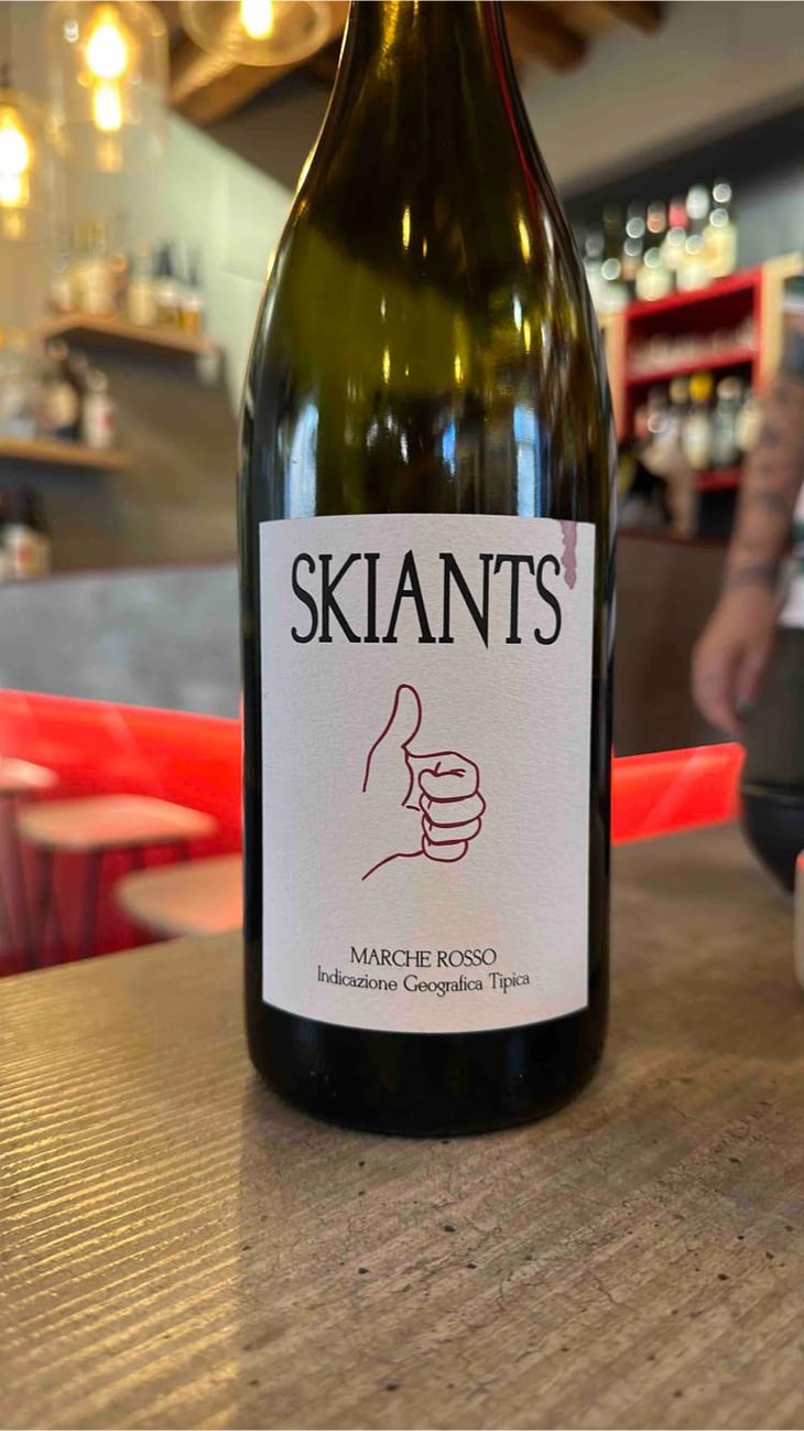 Skiants (X Lea Pailloncy) - Fattoria Villa Ligi - Francesco & Stefano Tonelli & Lea Pailloncy 