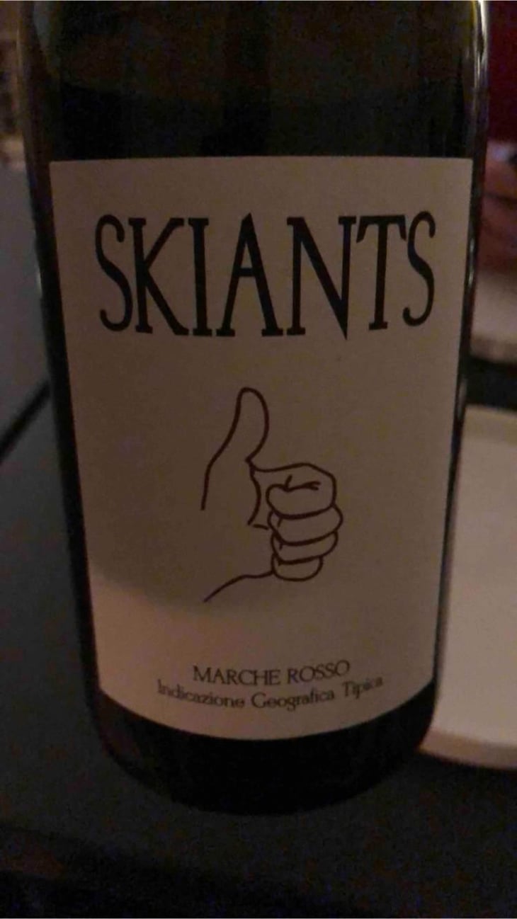 Skiants (X Lea Pailloncy) - Fattoria Villa Ligi - Francesco & Stefano Tonelli & Lea Pailloncy 