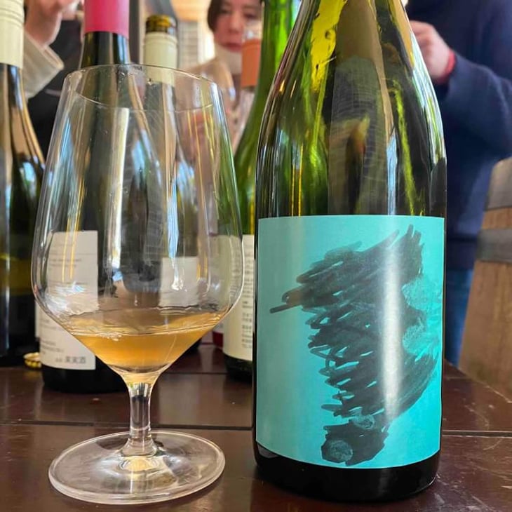 skin dive - Domaine Chaud - Hideo Kobayashi 