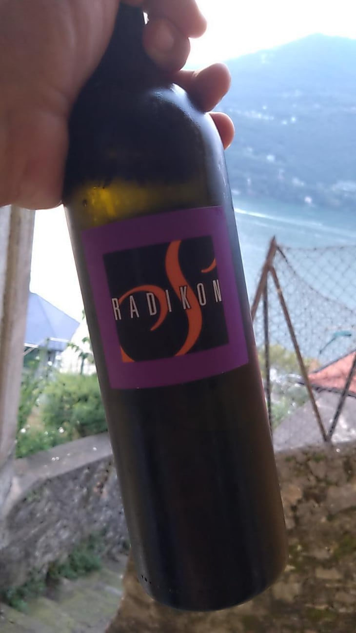 Slatnik - Radikon - Famiglia Radikon 