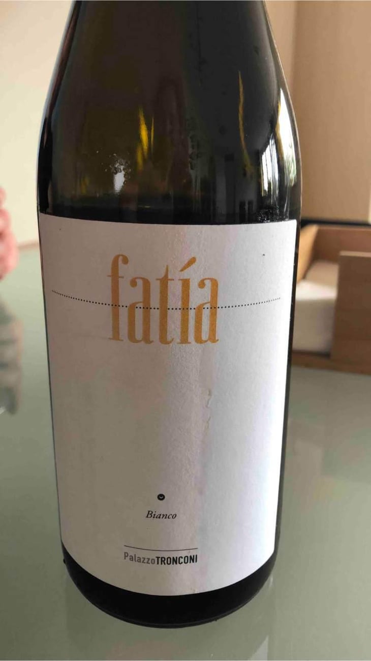 Fatia - Palazzo Tronconi - Marco Marrocco 