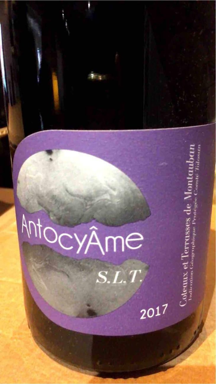 S.L.T - AntocyÂme - Muriel Zoldan 