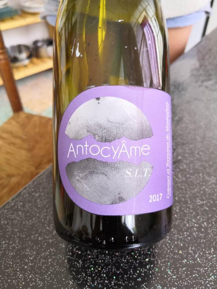 S.L.T - AntocyÂme - Muriel Zoldan 