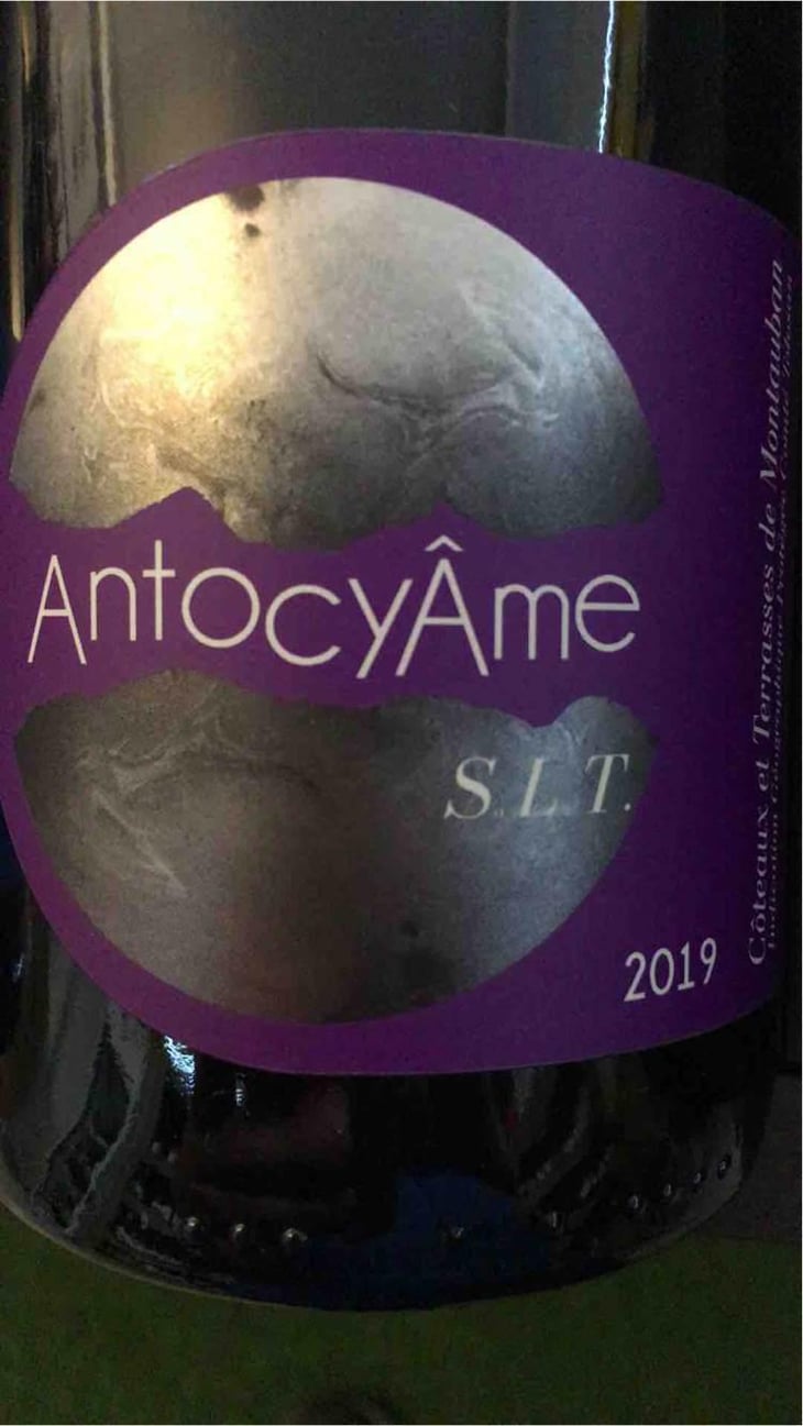S.L.T - AntocyÂme - Muriel Zoldan 