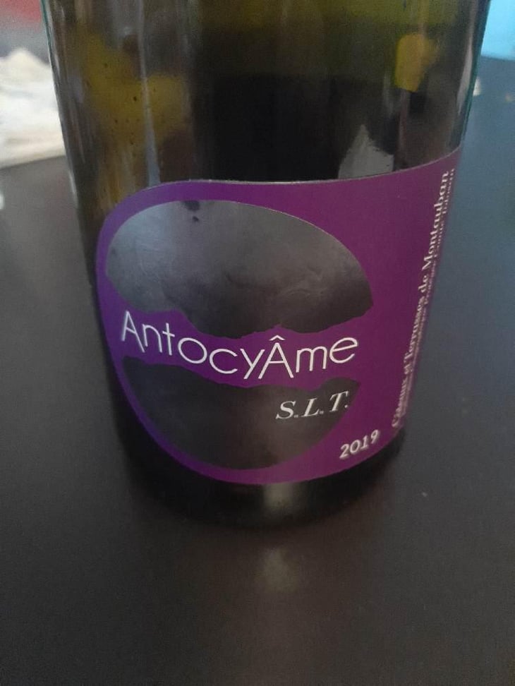 S.L.T - AntocyÂme - Muriel Zoldan 