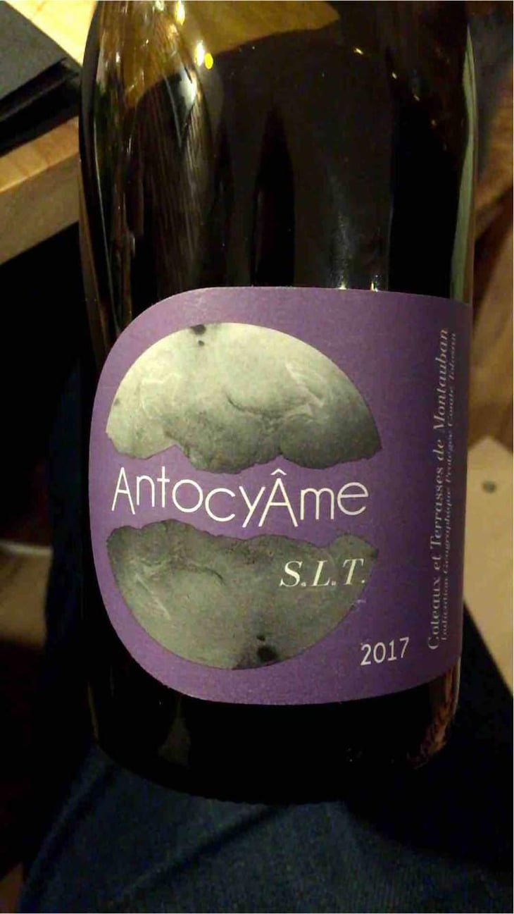 S.L.T - AntocyÂme - Muriel Zoldan 
