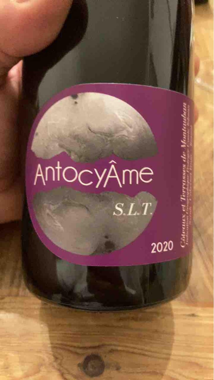 S.L.T - AntocyÂme - Muriel Zoldan 