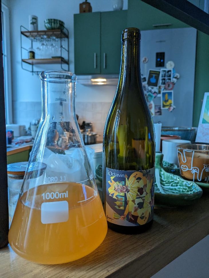 Sly Vin - Domaine de l'Octavin - Alice Bouvot 