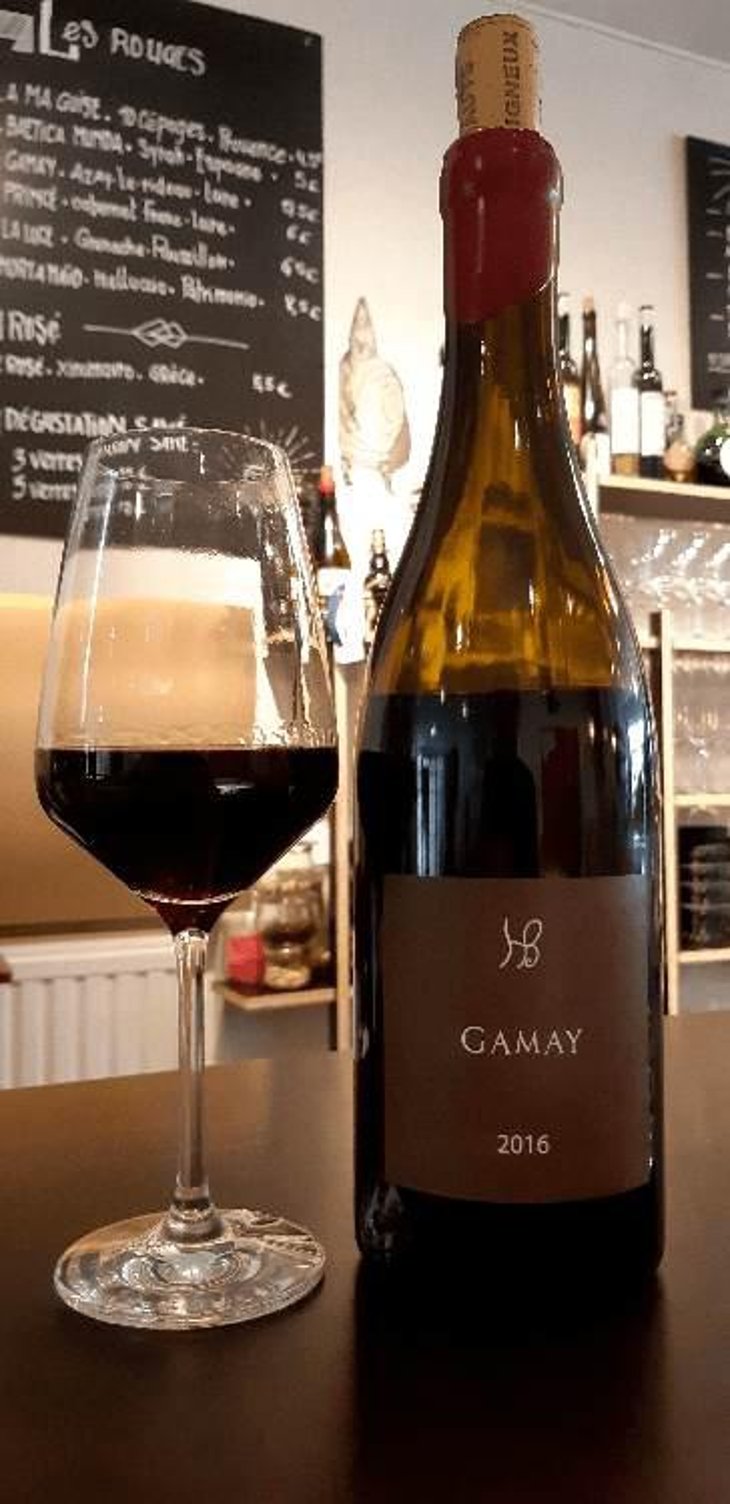 Gamay - Les Hauts Baigneux - Nicolas Grosbois & Philippe Mesnier 