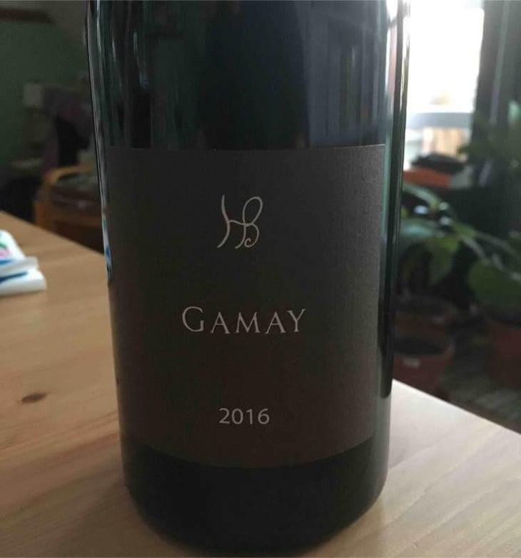 Gamay - Les Hauts Baigneux - Nicolas Grosbois & Philippe Mesnier 
