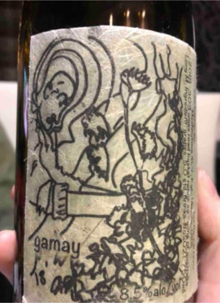 Gamay - Lucy Margaux Vineyards - Anton Van Klopper 
