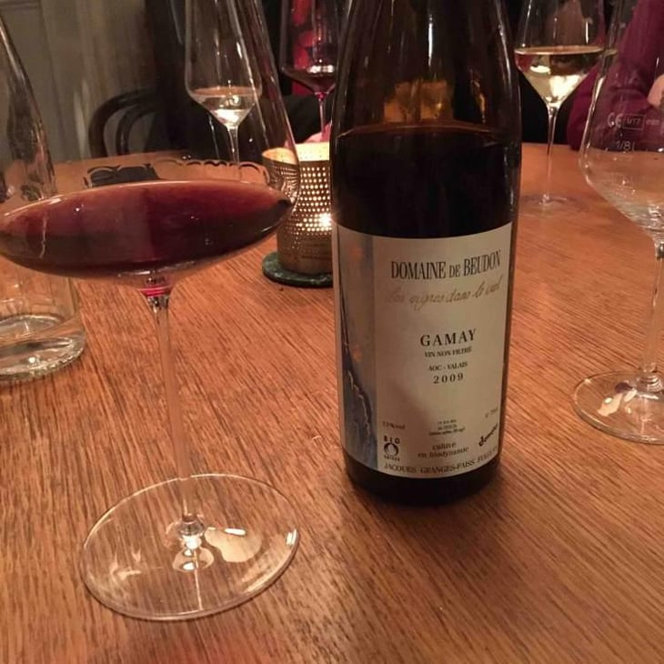 Gamay - Domaine de Beudon - Marion Granges-Fayss 