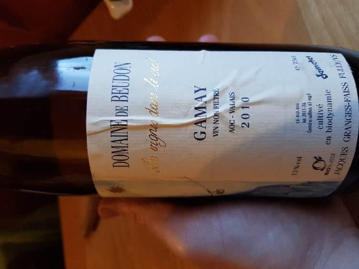 Gamay - Domaine de Beudon - Marion Granges-Fayss 