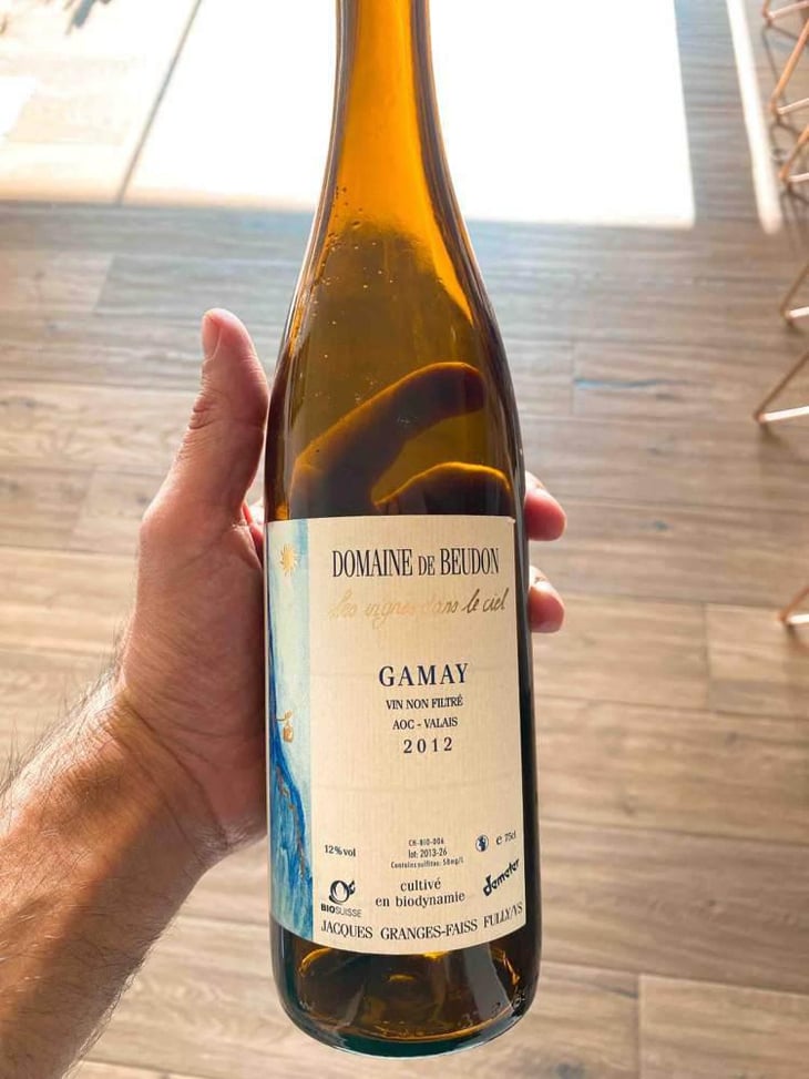 Gamay - Domaine de Beudon - Marion Granges-Fayss 