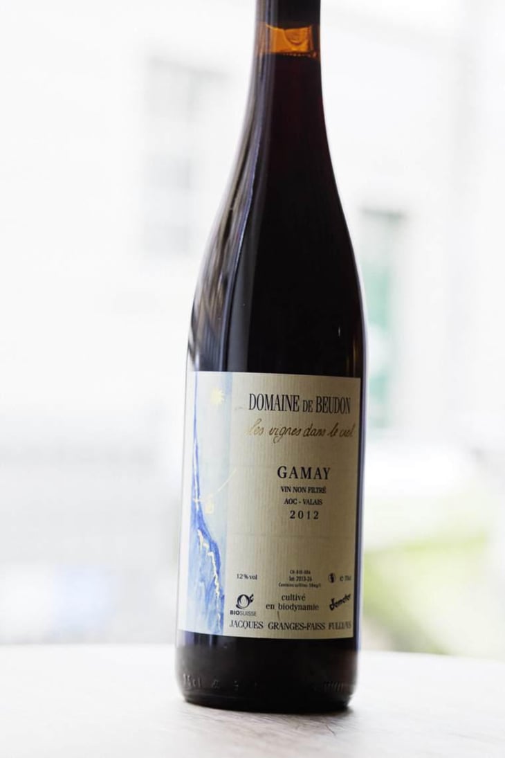 Gamay - Domaine de Beudon - Marion Granges-Fayss 