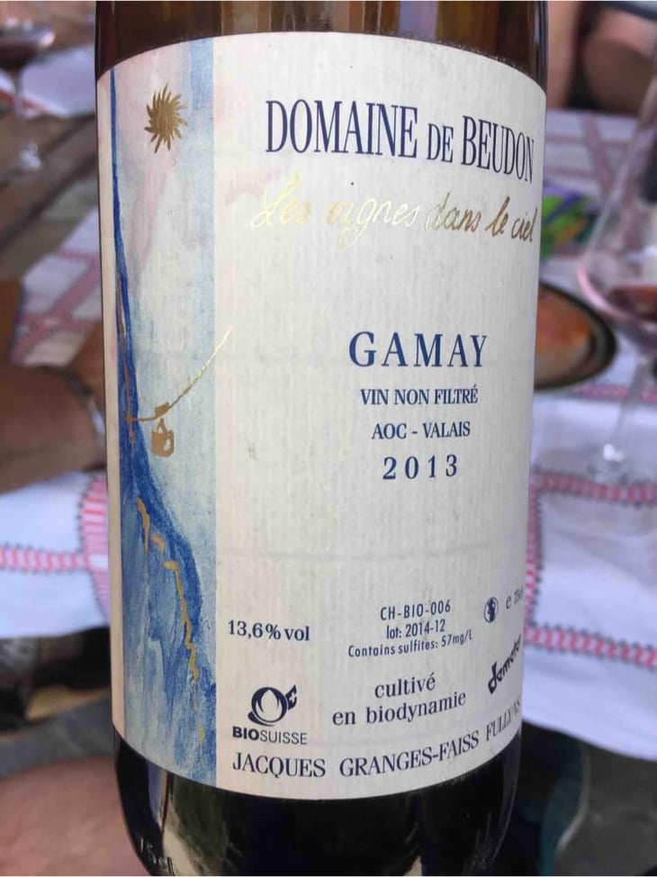 Gamay - Domaine de Beudon - Marion Granges-Fayss 