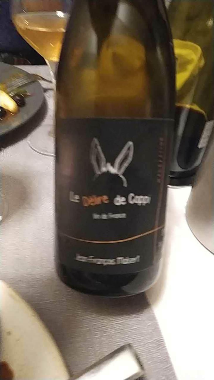 Gamay - Domaine de l'Iserand - Jean-François Malsert 