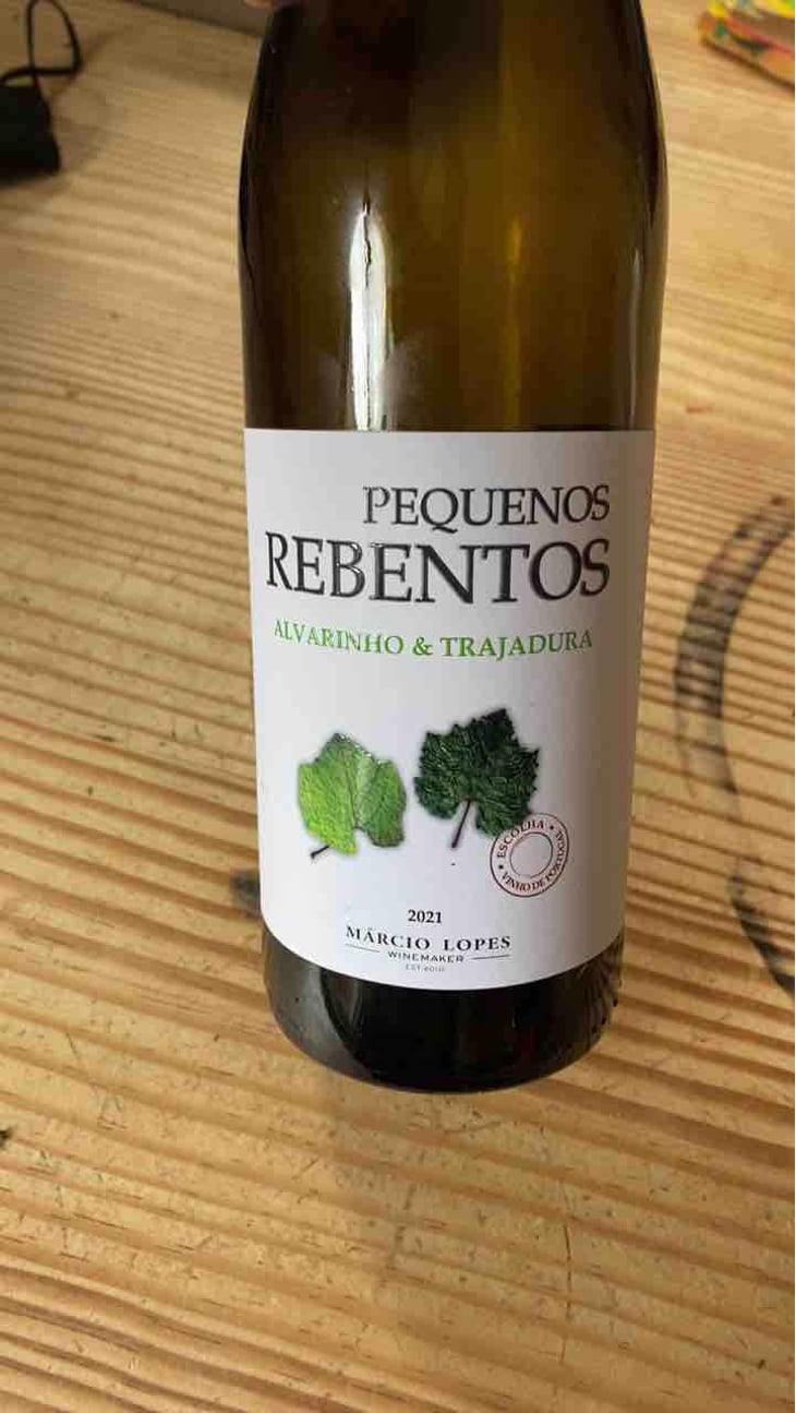 Pequenos Rebentos Ancestral - Márcio Lopes - Márcio Lopes 