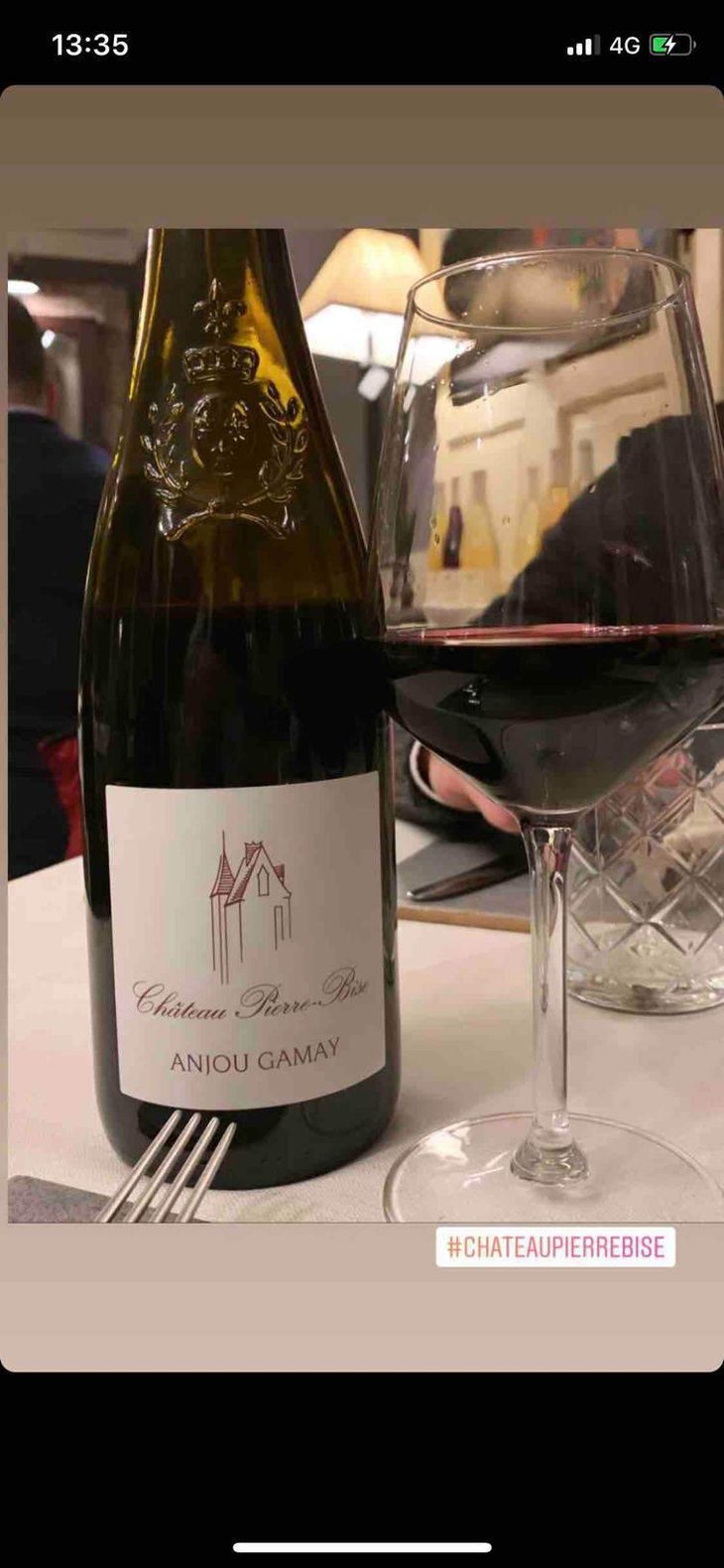 Anjou Gamay - Château Pierre-Bise - Christophe, Claude e Réné Papin 