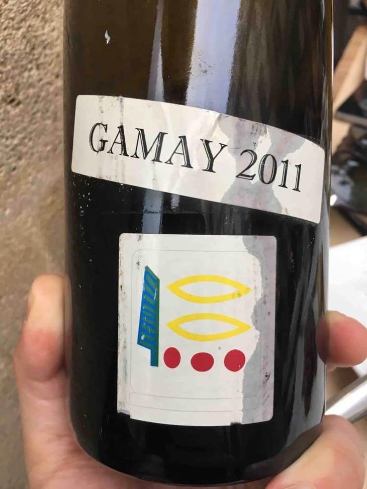 Gamay - Domaine Prieuré Roch - Henry-Frédéric Roch & Yannick Champ 