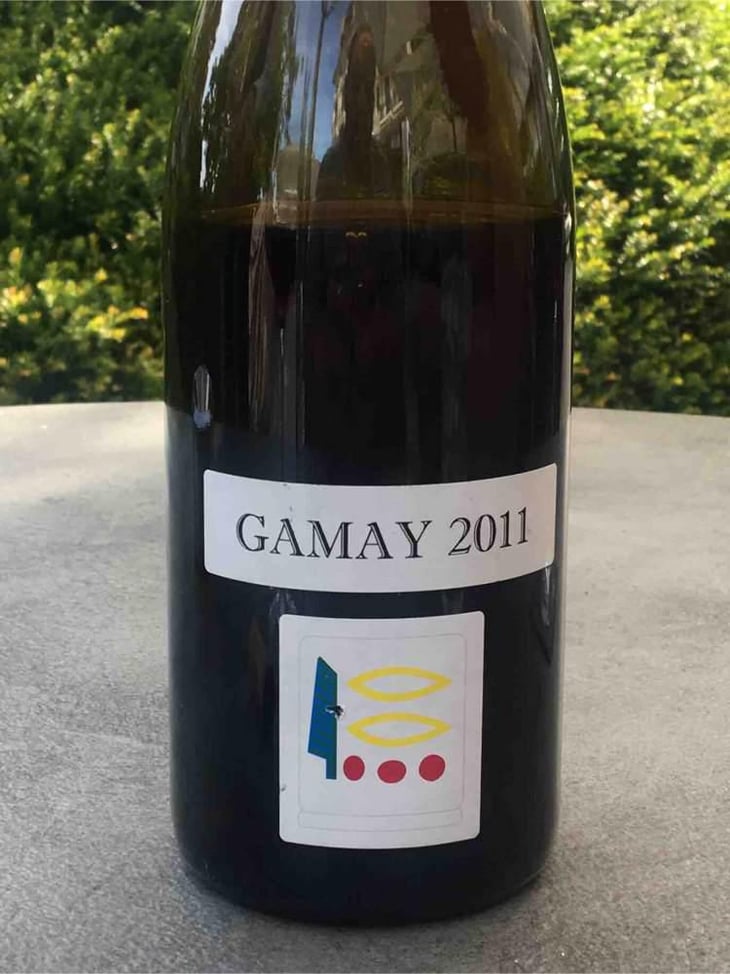 Gamay - Domaine Prieuré Roch - Henry-Frédéric Roch & Yannick Champ 