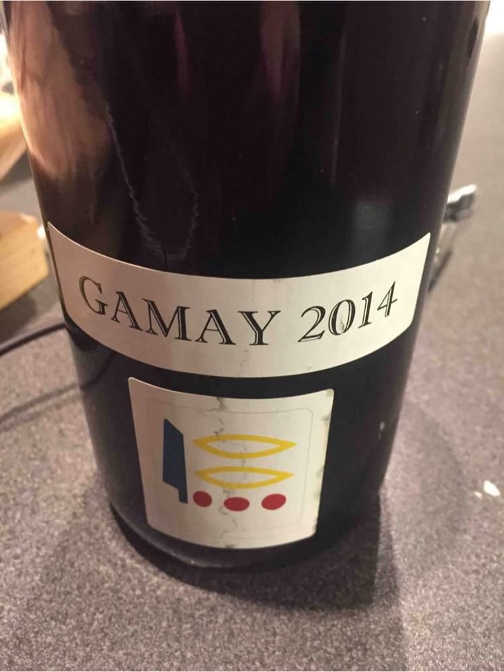 Gamay - Domaine Prieuré Roch - Henry-Frédéric Roch & Yannick Champ 
