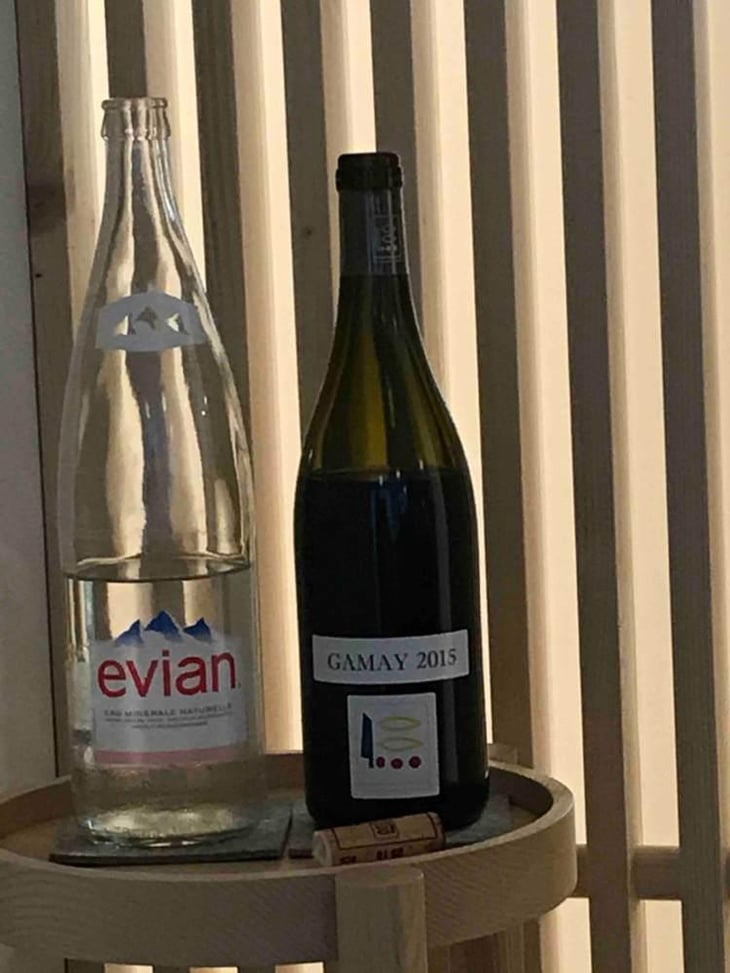 Gamay - Domaine Prieuré Roch - Henry-Frédéric Roch & Yannick Champ 