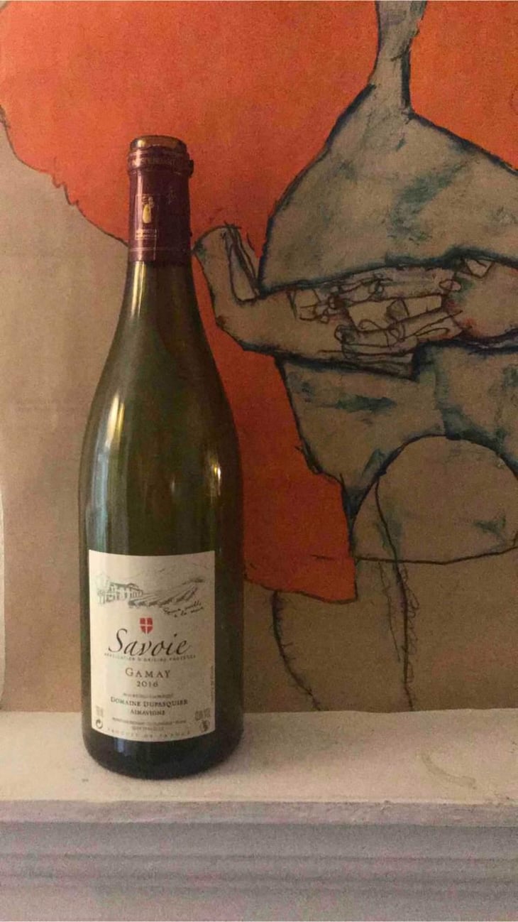 Gamay - Domaine de Trivel - Sidonie Joggerst & Thomas Guillon 