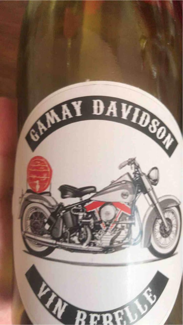 Gamay Davidson Vin Rebelle - Sons of Wine - Farid Yahimi 