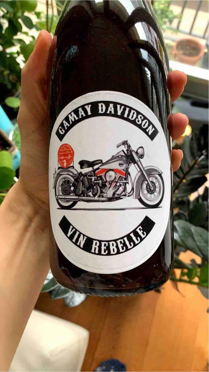 Gamay Davidson Vin Rebelle - Sons of Wine - Farid Yahimi 