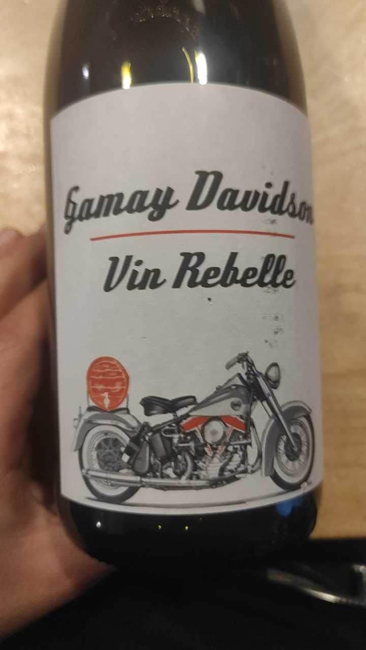 Gamay Davidson Vin Rebelle - Sons of Wine - Farid Yahimi 