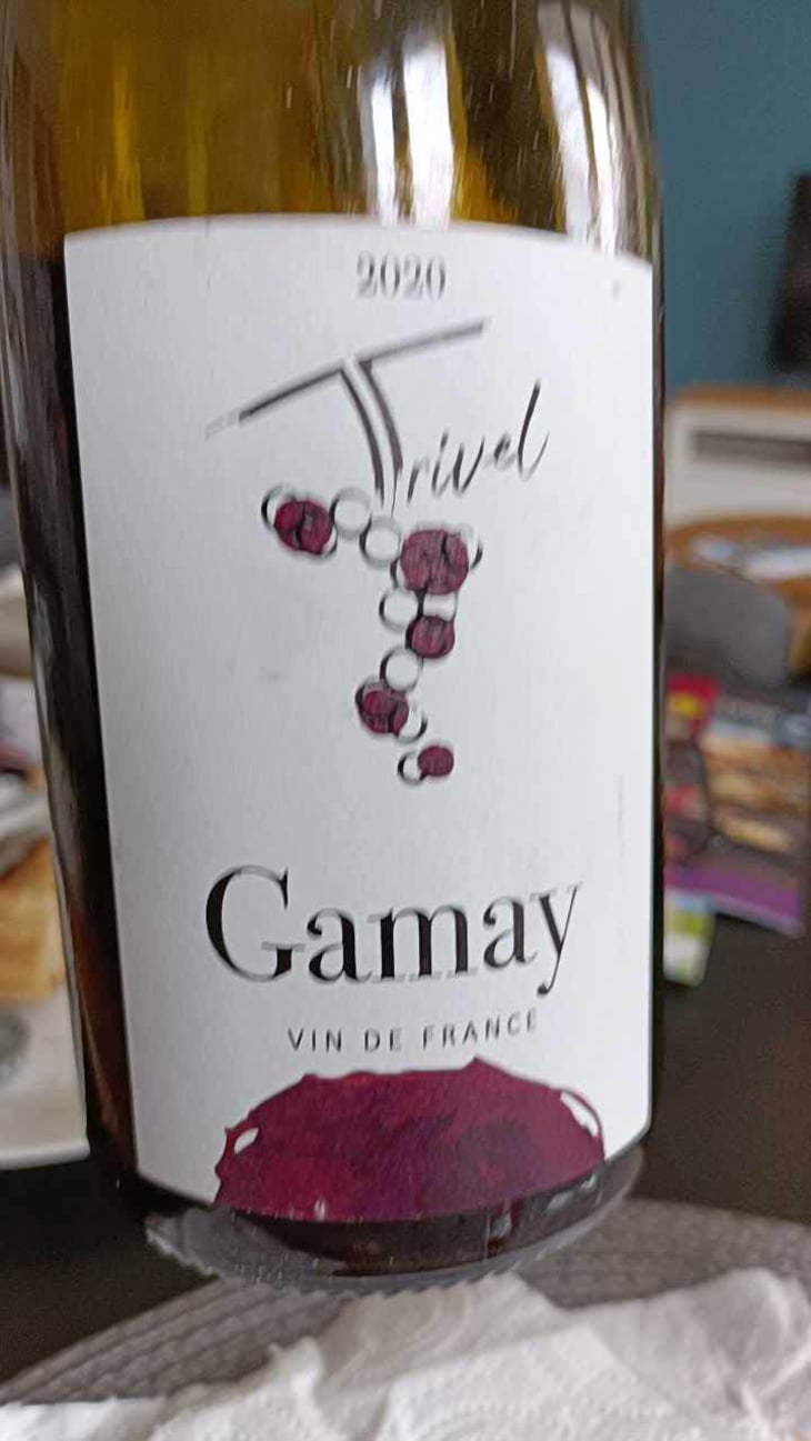 Gamay - Domaine de Trivel - Sidonie Joggerst & Thomas Guillon 