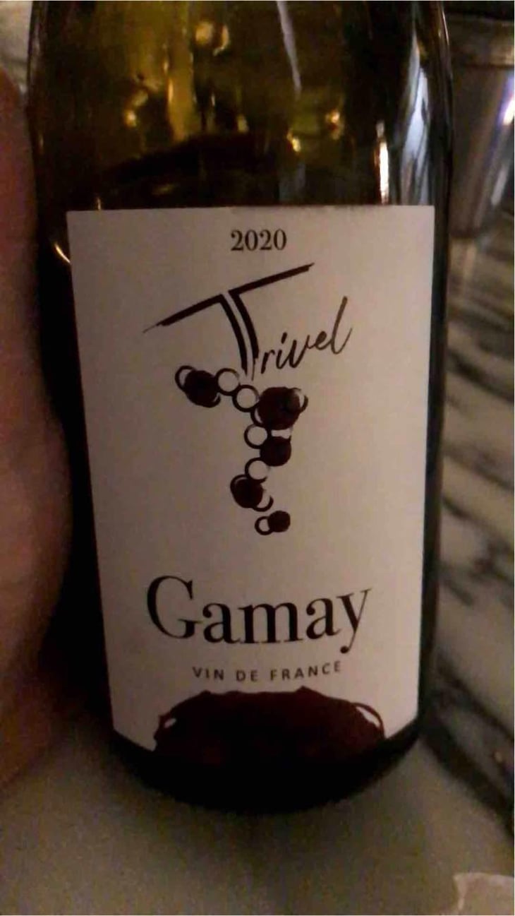 Gamay - Domaine de Trivel - Sidonie Joggerst & Thomas Guillon 