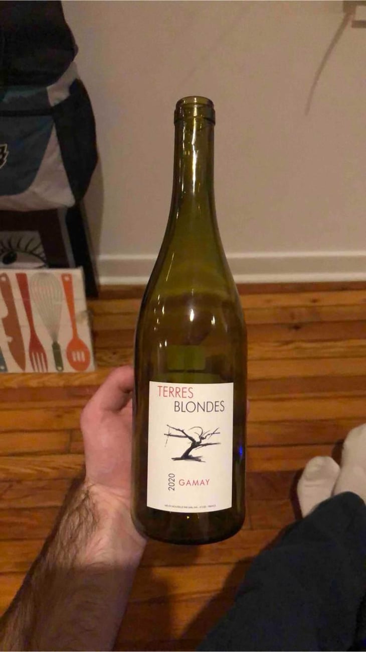 Gamay - Loire - Terres Blondes 