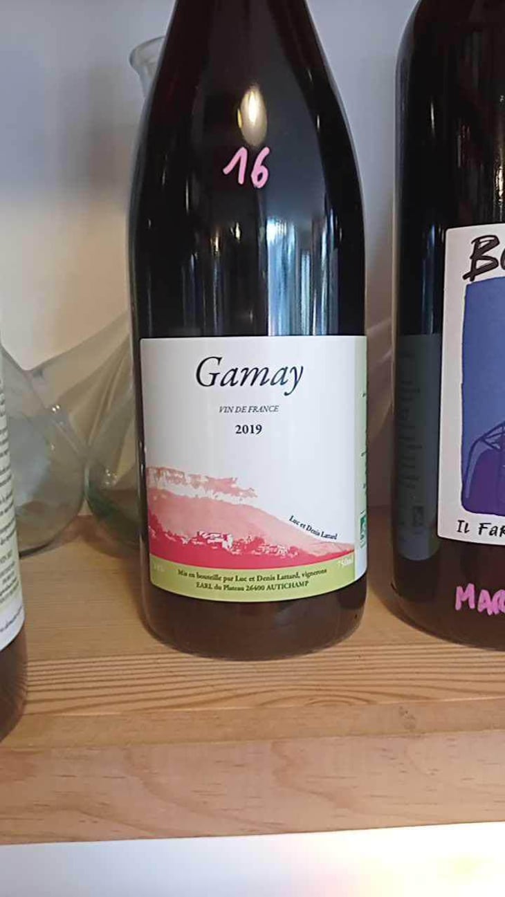 Gamay - Domaine Lattard - Denis Lattard 