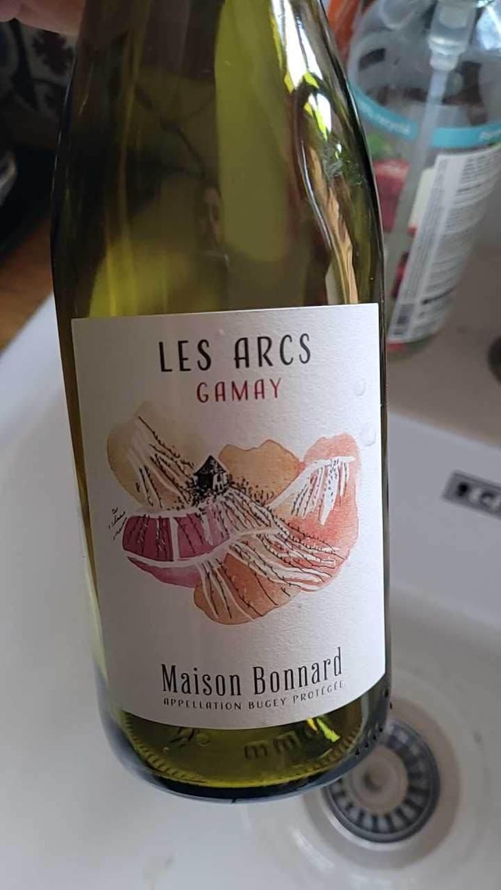 Les Arcs - Maison Bonnard - Frederic, Romain, et Anne-Sophie Bonnard -2019