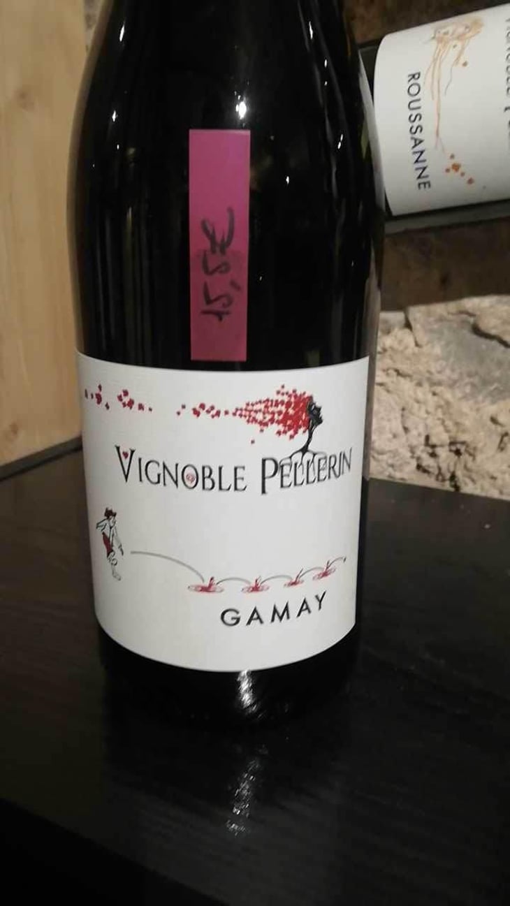 Gamay - Vignoble Pellerin - Jean-Christophe, Baptiste & Lucien Pellerin 