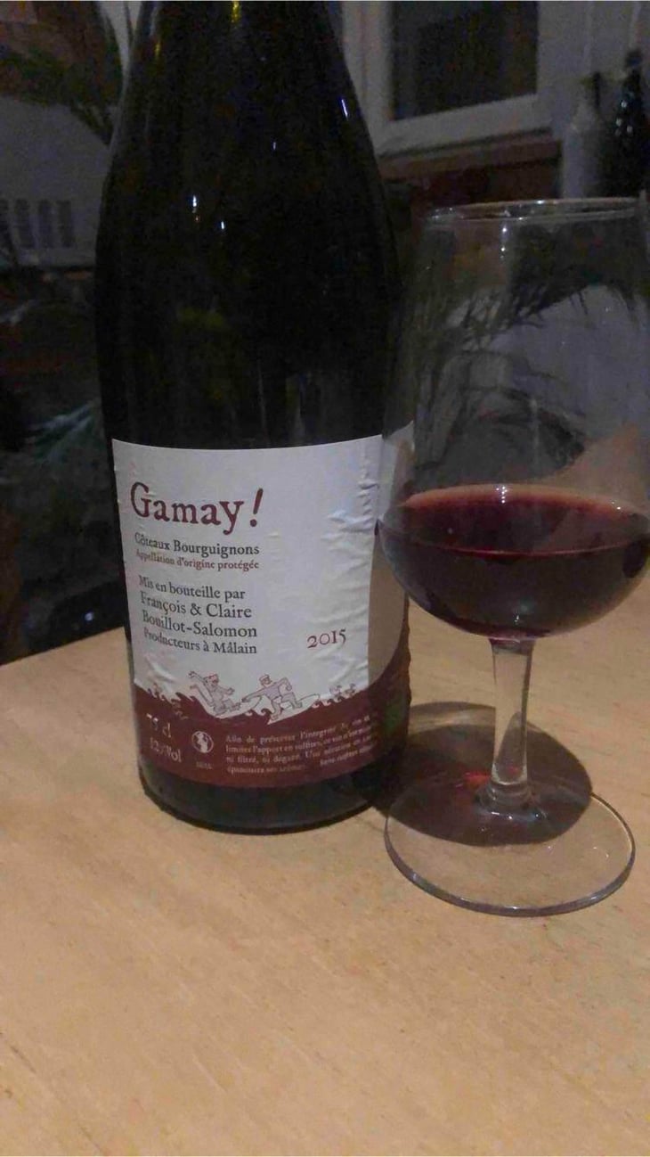 Gamay! - Bouillot-Salomon - François & Claire Bouillot-Salomon 