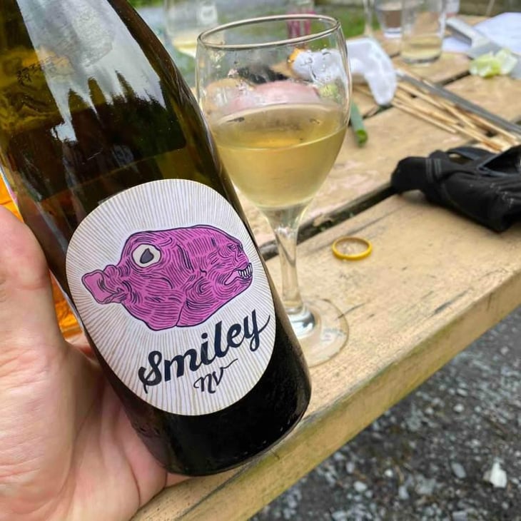 Smiley Chenin Blanc NV V2 - Silwervis - Silwervis 