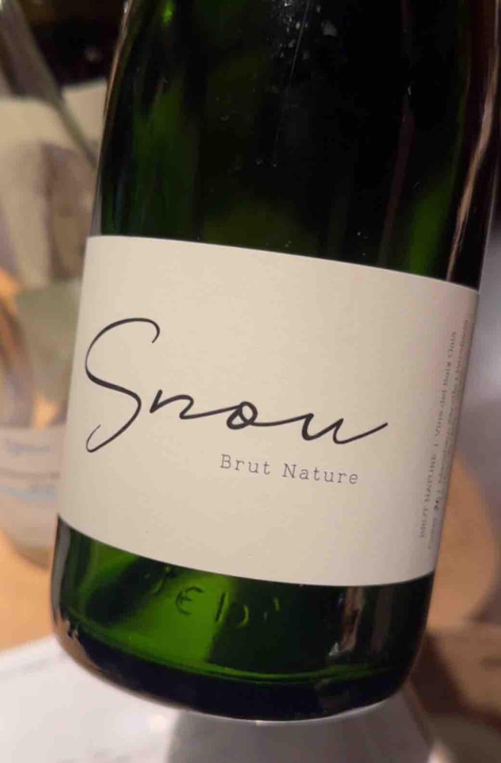 S nou Brut Nature - CELLER 9+ - Moises Virgili i Rovira -2021