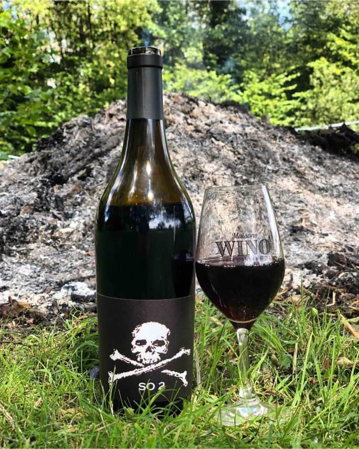 SO 2 - Domaine de l'R - Frédéric Sigonneau 
