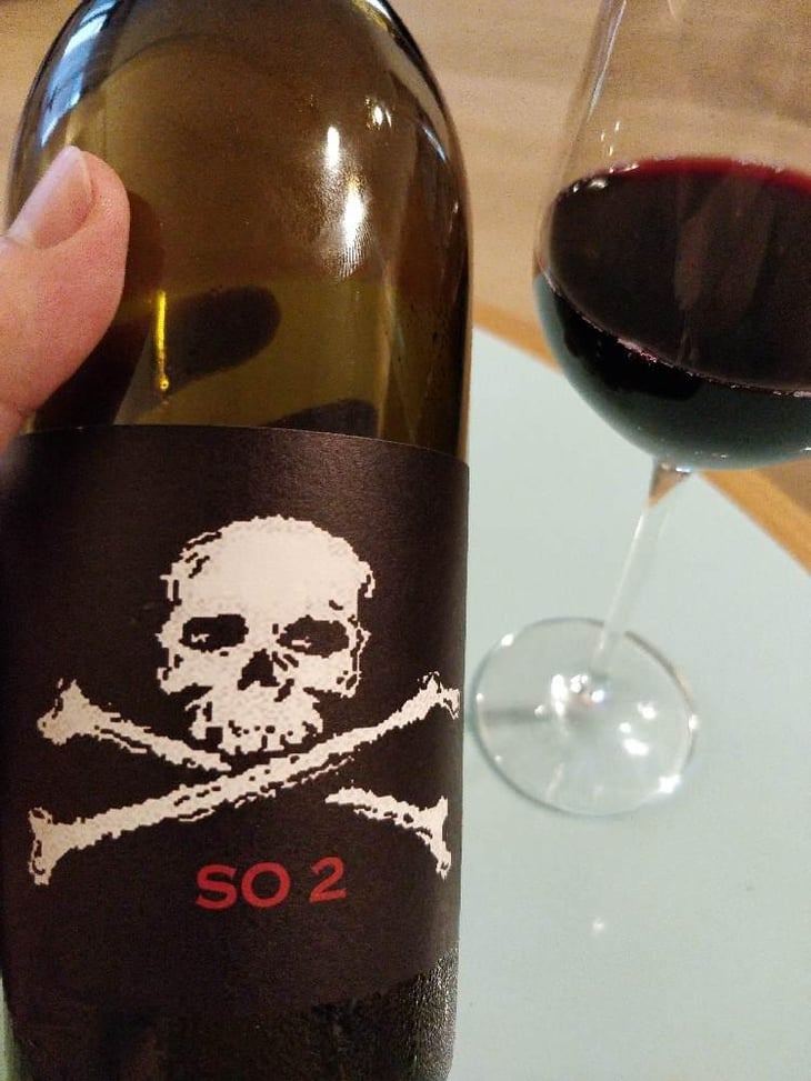 SO 2 - Domaine de l'R - Frédéric Sigonneau 