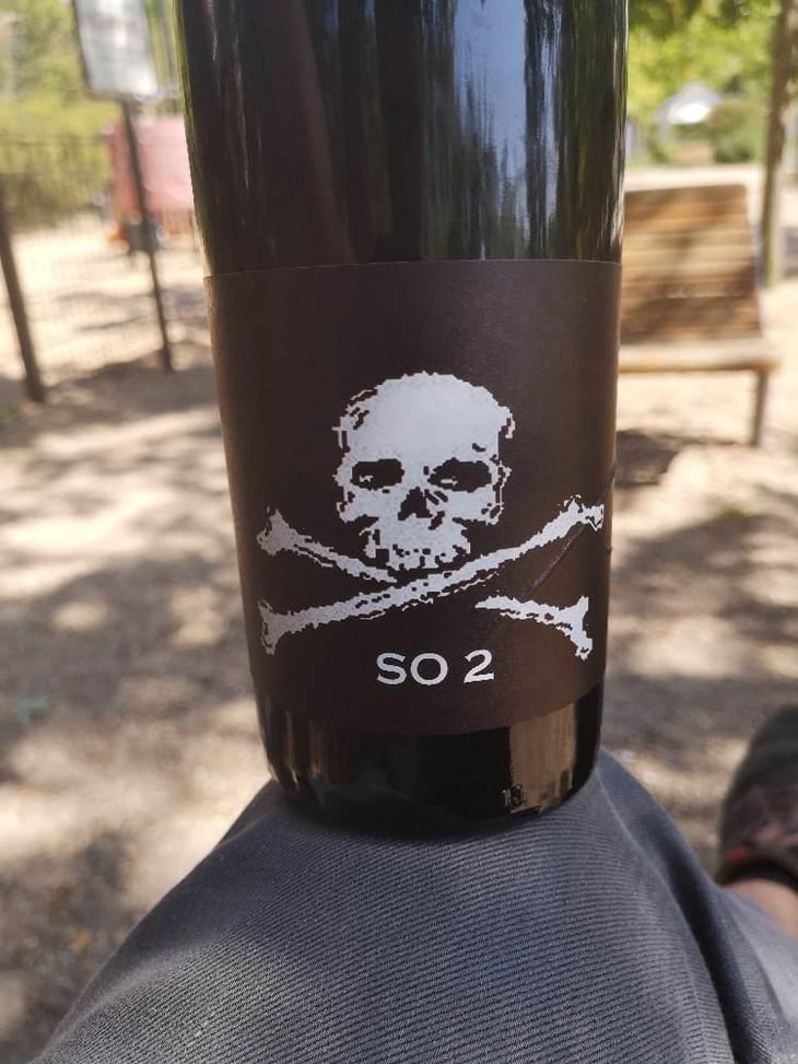 SO 2 - Domaine de l'R - Frédéric Sigonneau 