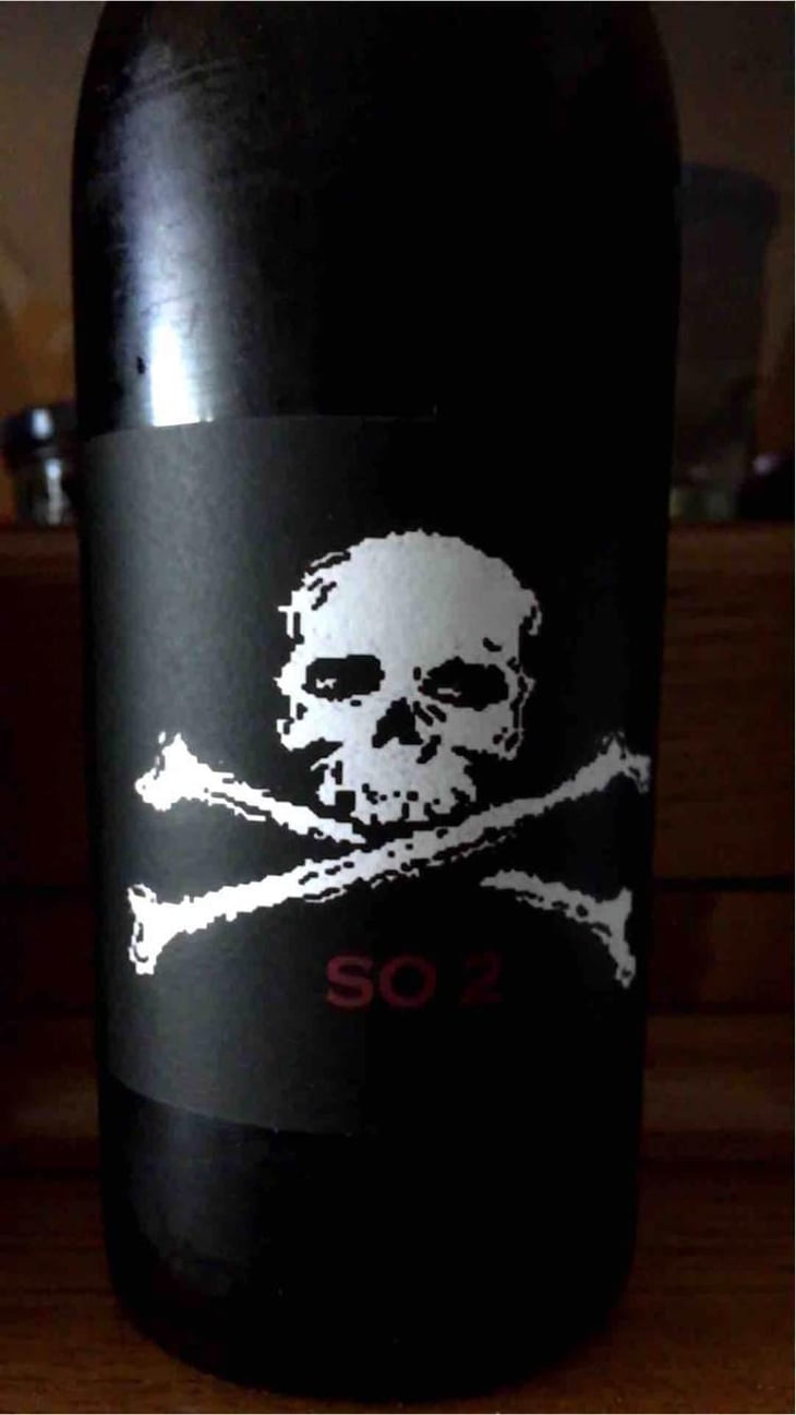 SO 2 - Domaine de l'R - Frédéric Sigonneau 