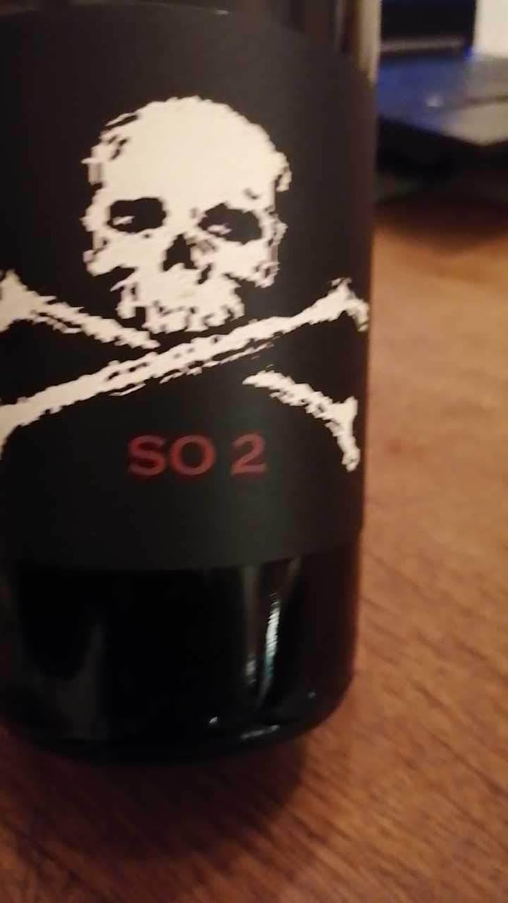 SO 2 - Domaine de l'R - Frédéric Sigonneau 