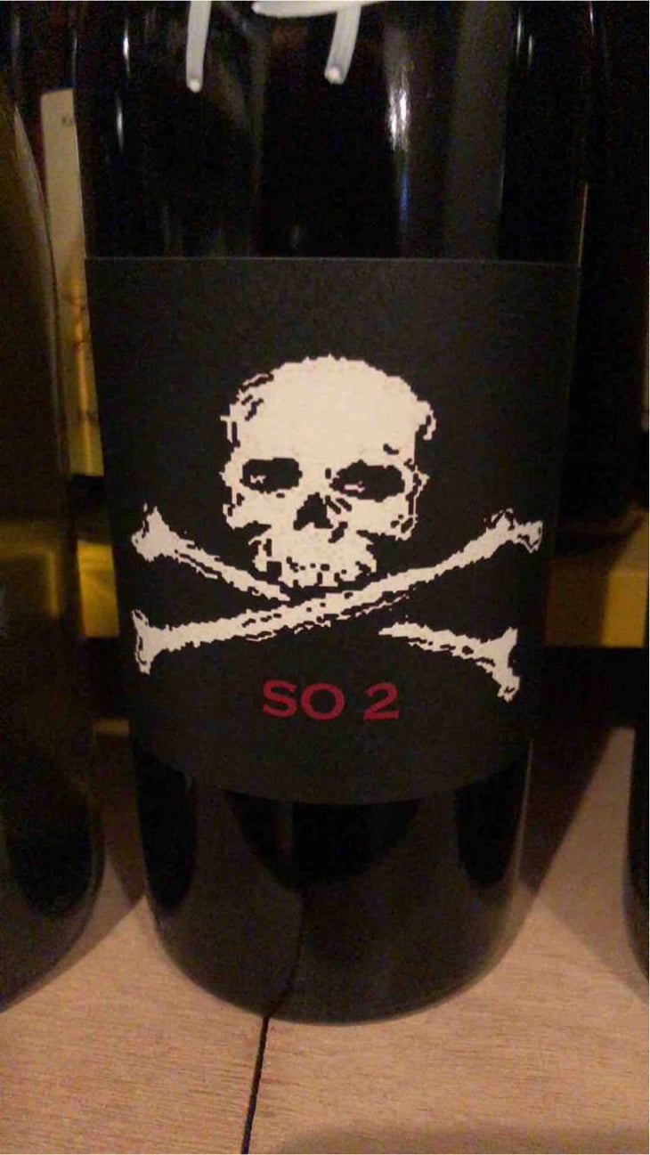 SO 2 - Domaine de l'R - Frédéric Sigonneau 
