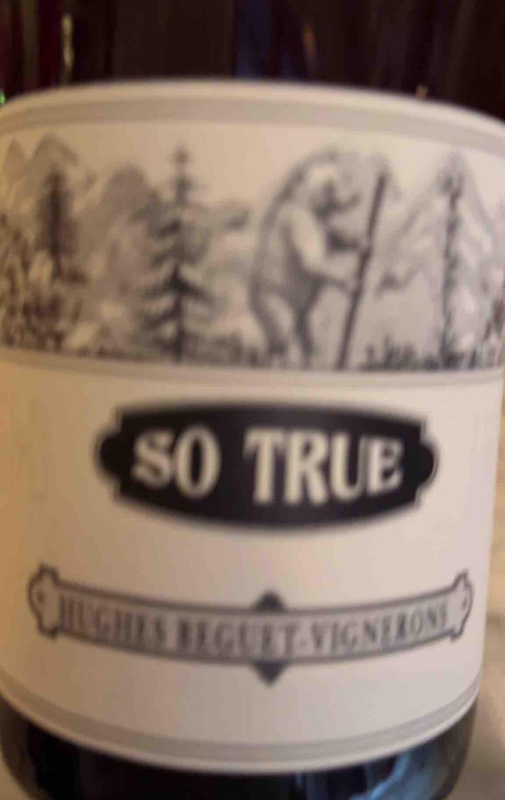 So True - Domaine Hughes-Beguet - Caroline & Patrice Hughes Béguet 