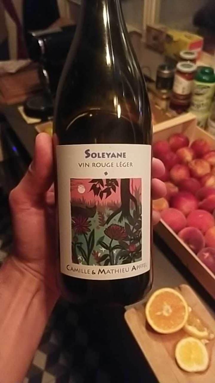 Soleyane - Mathieu Apffel - Camille & Mathieu Apffel -2020