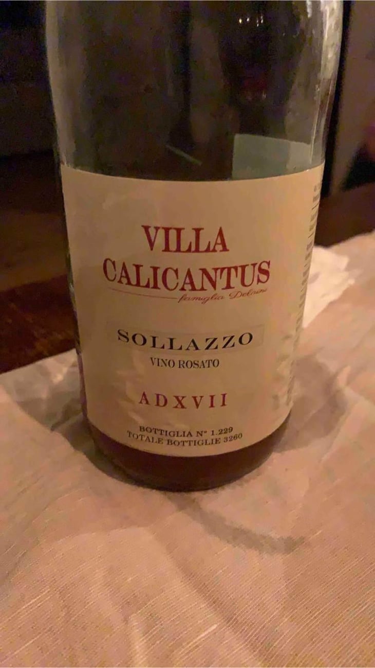 SOLLAZZO - Villa Calicantus - Daniele e Chiara Delaini 