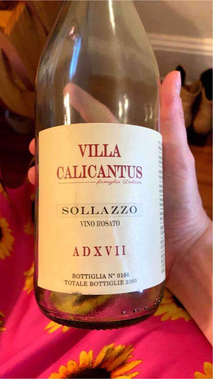 SOLLAZZO - Villa Calicantus - Daniele e Chiara Delaini 